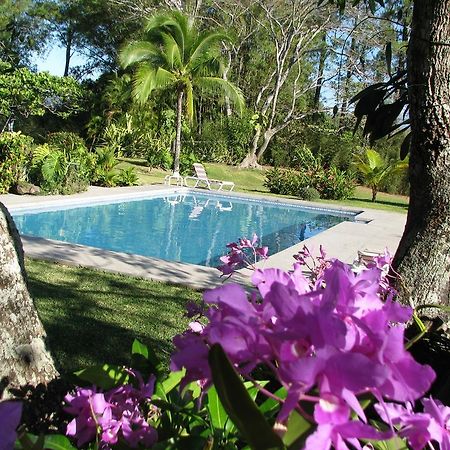 Hotel Quinta Celeste La Garita  Exteriér fotografie
