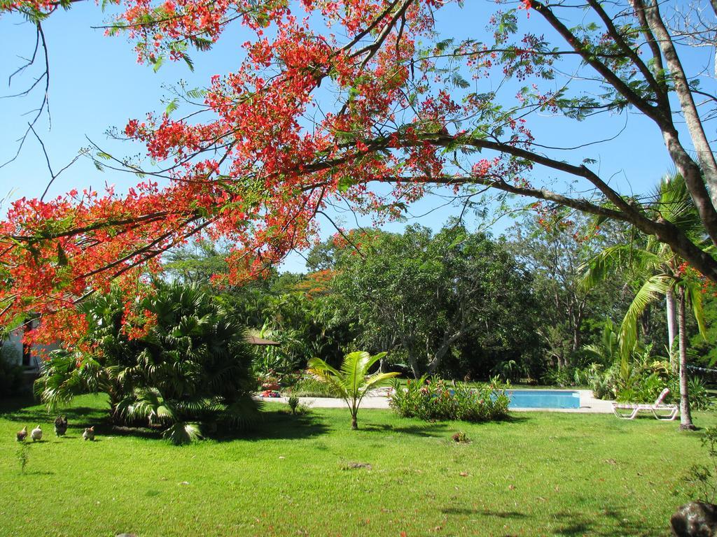 Hotel Quinta Celeste La Garita  Exteriér fotografie
